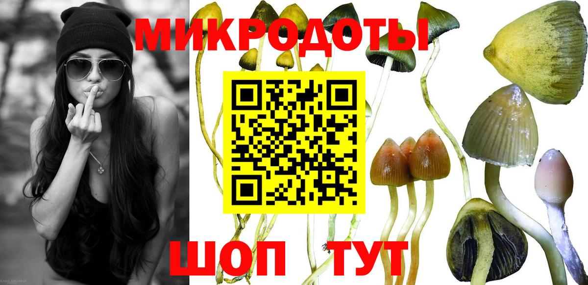 Псилоцибиновые грибы Psilocybine cubensis Южно-Сахалинск