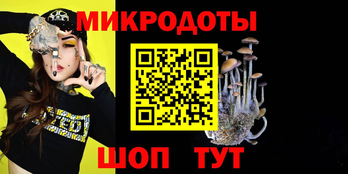 купить наркотики цена  Вход с VPN  Южно-Сахалинск  Галлюциногенные грибы Cubensis 