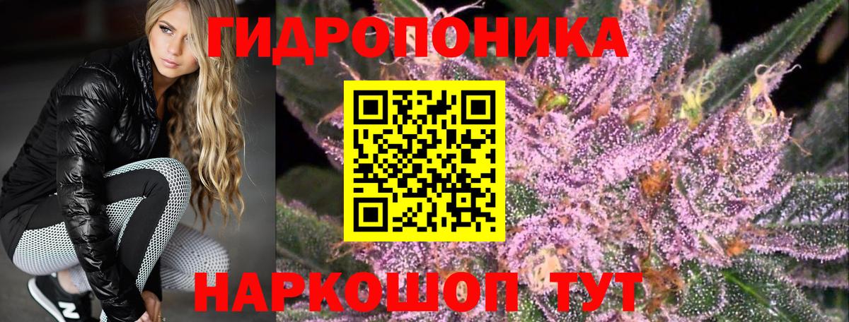 Конопля гибрид  Вход с VPN  Бошки Шишки Bruce Banner  Марихуана планчик  Южно-Сахалинск 
